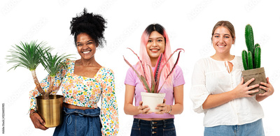 image to crop