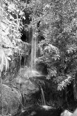 preview bw