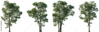 image to crop