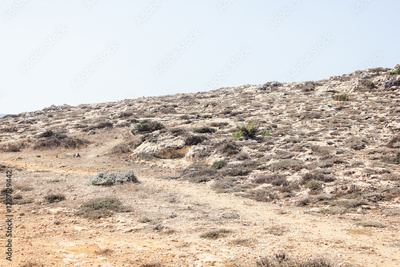 image to crop