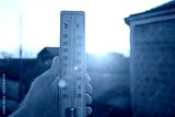 preview cold
