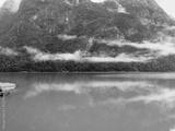 preview bw