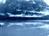 preview cold