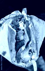 preview cold