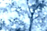 preview cold