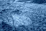 preview cold