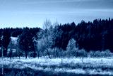 preview cold