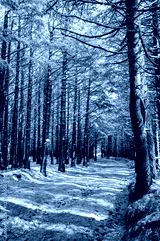 preview cold
