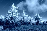 preview cold