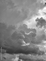 preview bw
