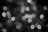 preview bw