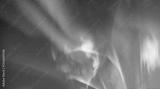 preview bw