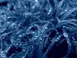 preview cold