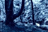 preview cold