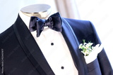 preview original