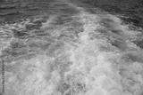 preview bw