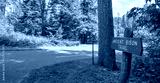 preview cold