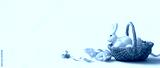 preview cold