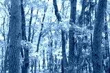 preview cold