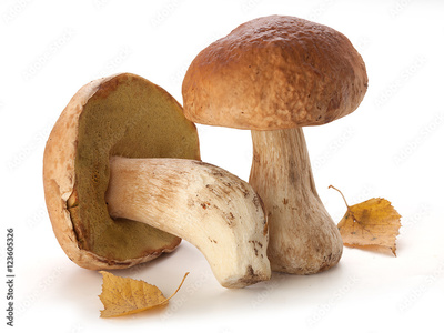 image to crop