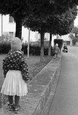 preview bw