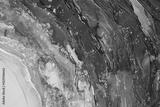 preview bw