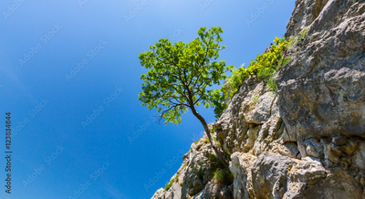 image to crop