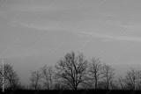 preview bw
