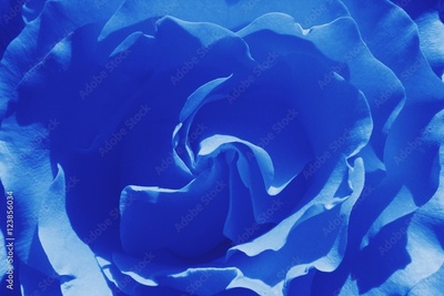 image to crop