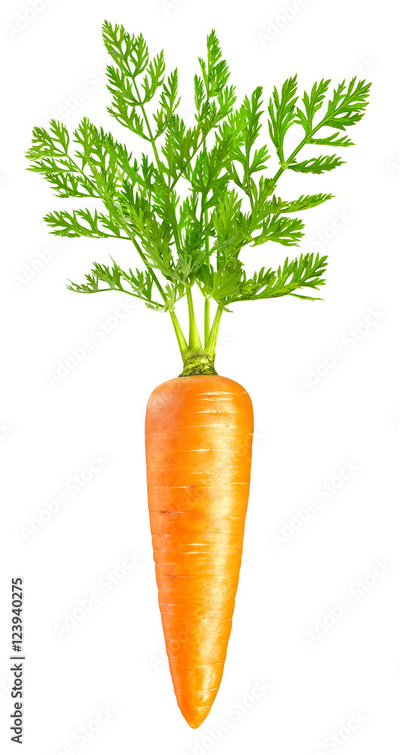 image to crop