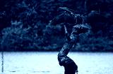 preview cold