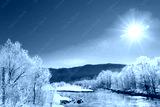 preview cold