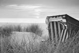 preview bw