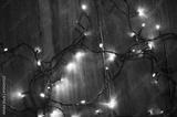 preview bw