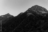 preview bw