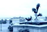 preview cold