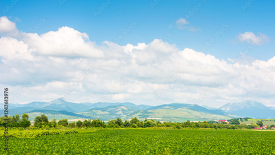image to crop