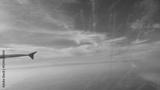 preview bw