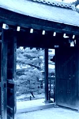 preview cold