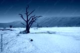 preview cold