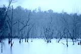 preview cold