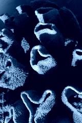 preview cold