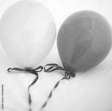 preview bw