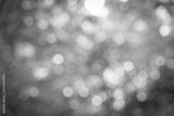 preview bw