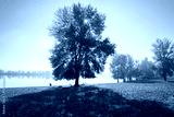 preview cold
