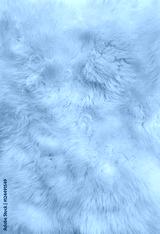 preview cold