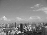 preview bw