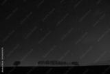 preview bw