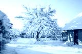 preview cold