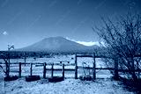 preview cold